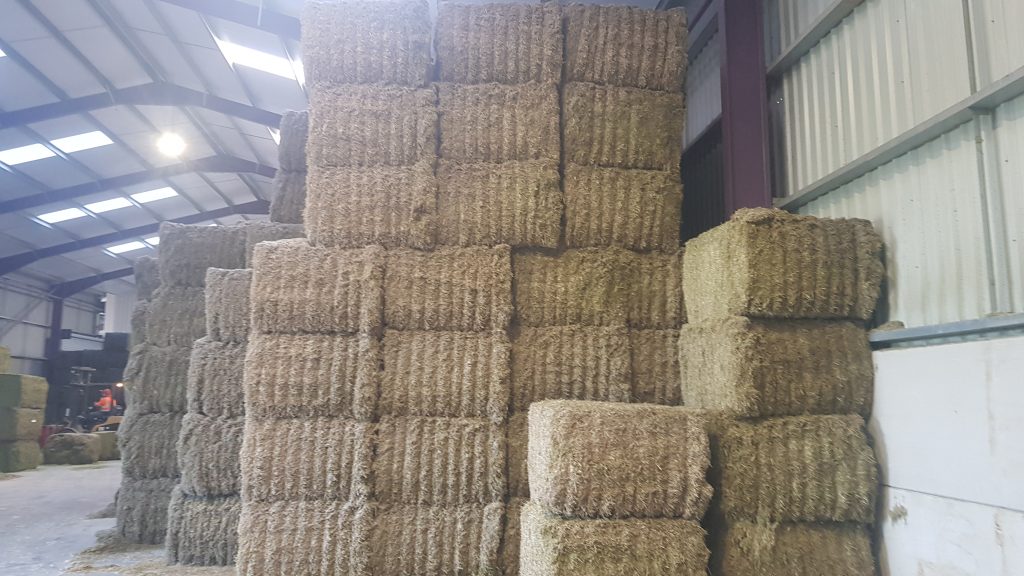 hay bales from a twin ram baler